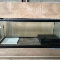 aquarium de 239 litres